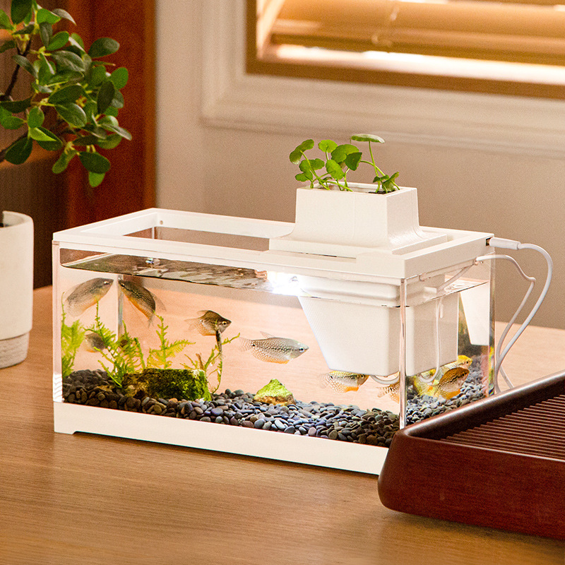 Aquarium Xl - Fish Tank Aquarium Kits with Water