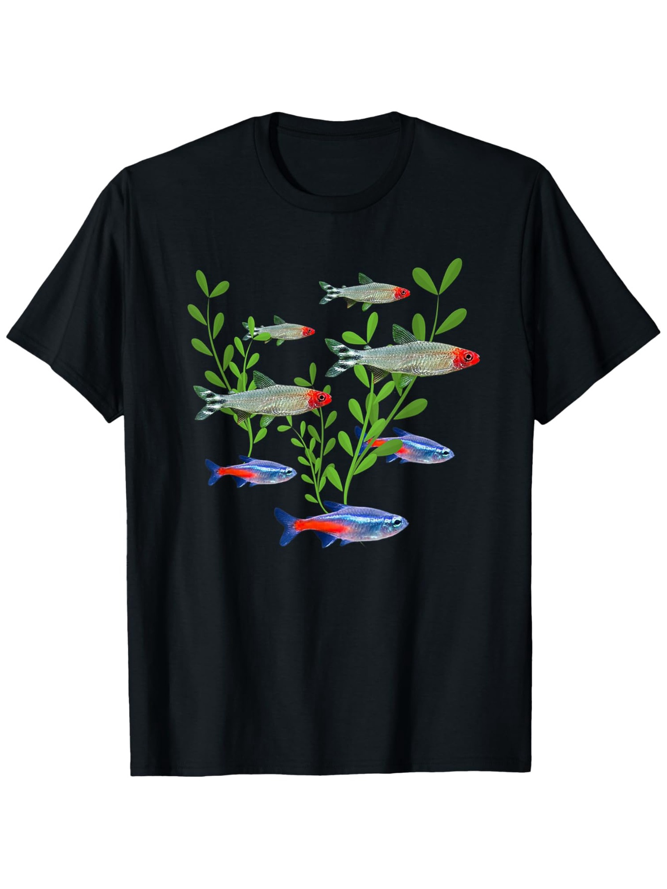 Men's Neon & Rummy Nose Tetras - Tetra Fish In Aquarium review and price