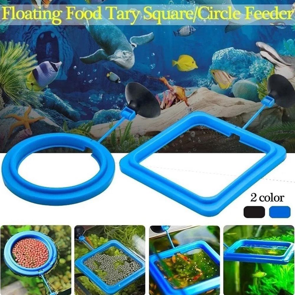 Fish Feeding Ring Feeder Fishi - Tetra Fish In Aquarium review and price
