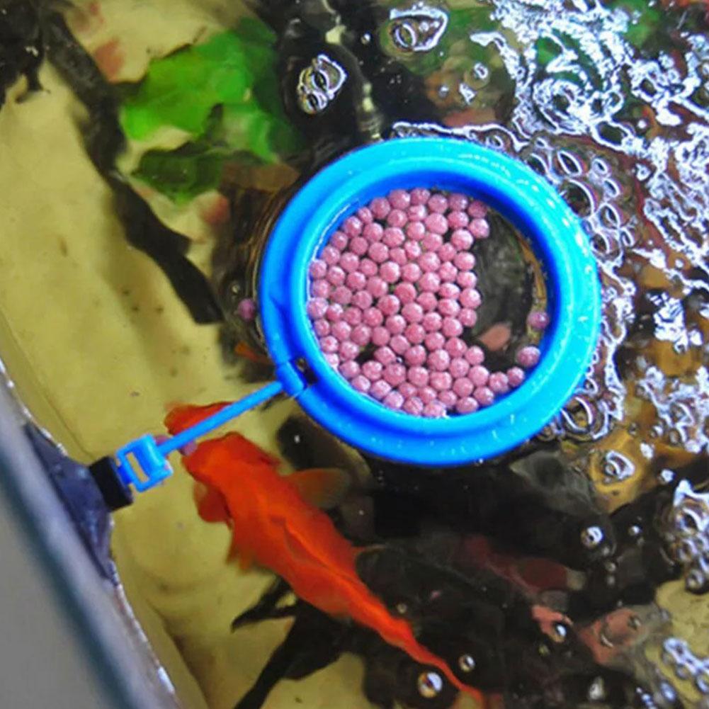 Fish Feeding Ring Feeder Fishi - Tetra Fish In Aquarium review and price