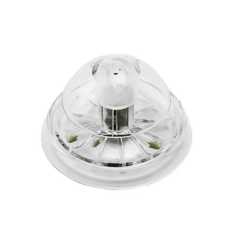 2026 New 6/8CM Clear Plastic S - Aquarium Fish Types review and price