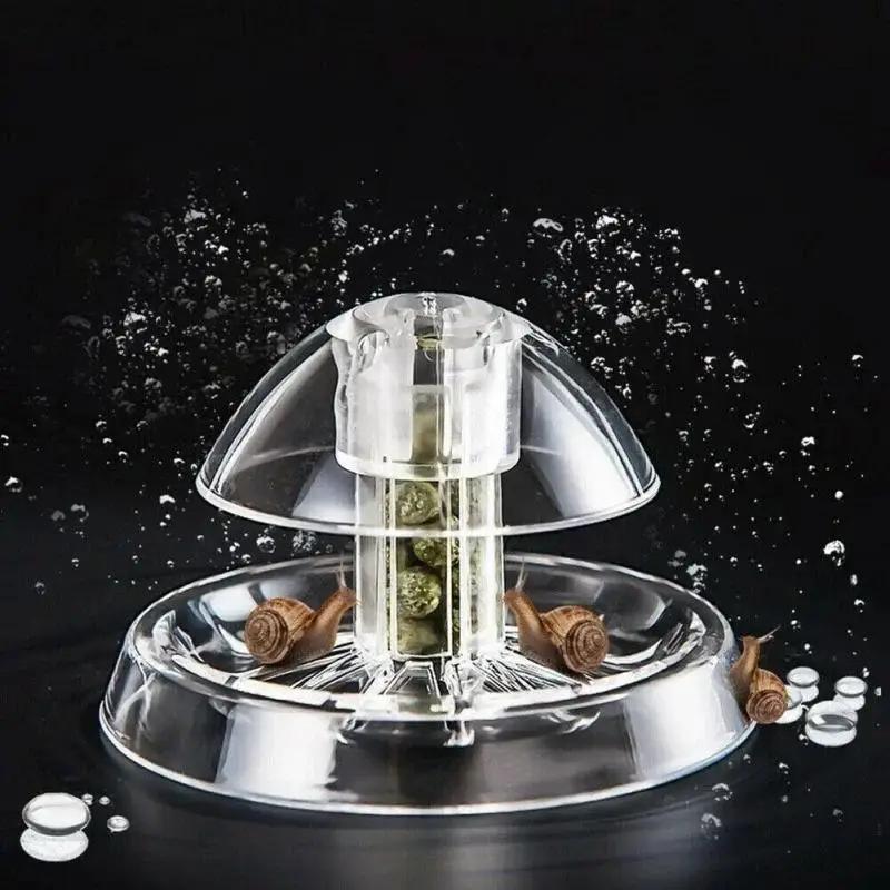 2026 New 6/8CM Clear Plastic S - Aquarium Fish Types review and price