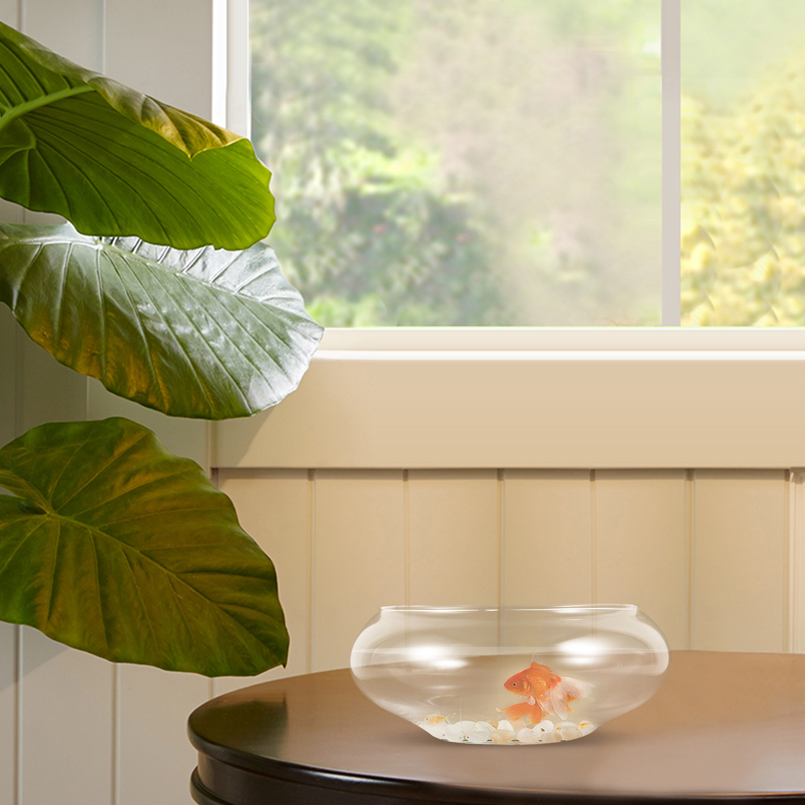 Clear Glass Fish Bowl Round De - Aquarium Fish Goldfish review and price