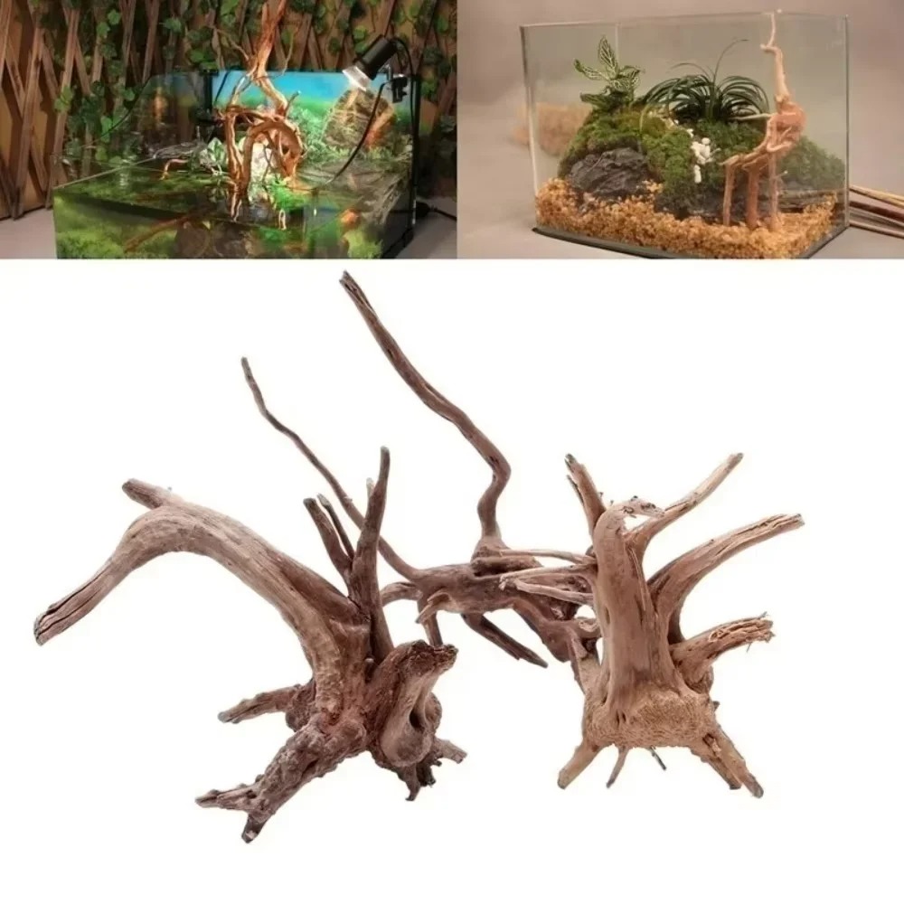 15-20CM Natural Driftwood Aqua - Aquarium Fish Types review and price