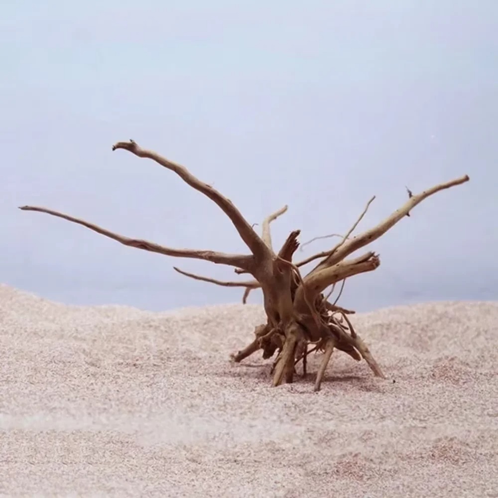 15-20CM Natural Driftwood Aqua - Aquarium Fish Types review and price