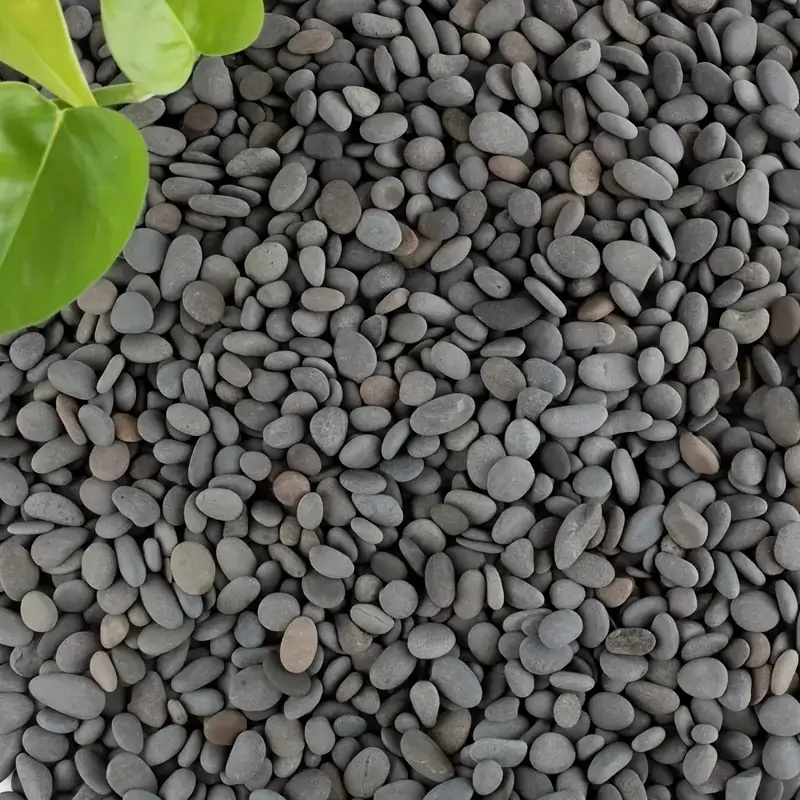20Pcs Natural River Rocks Smoo - Aquarium Fish Types review and price