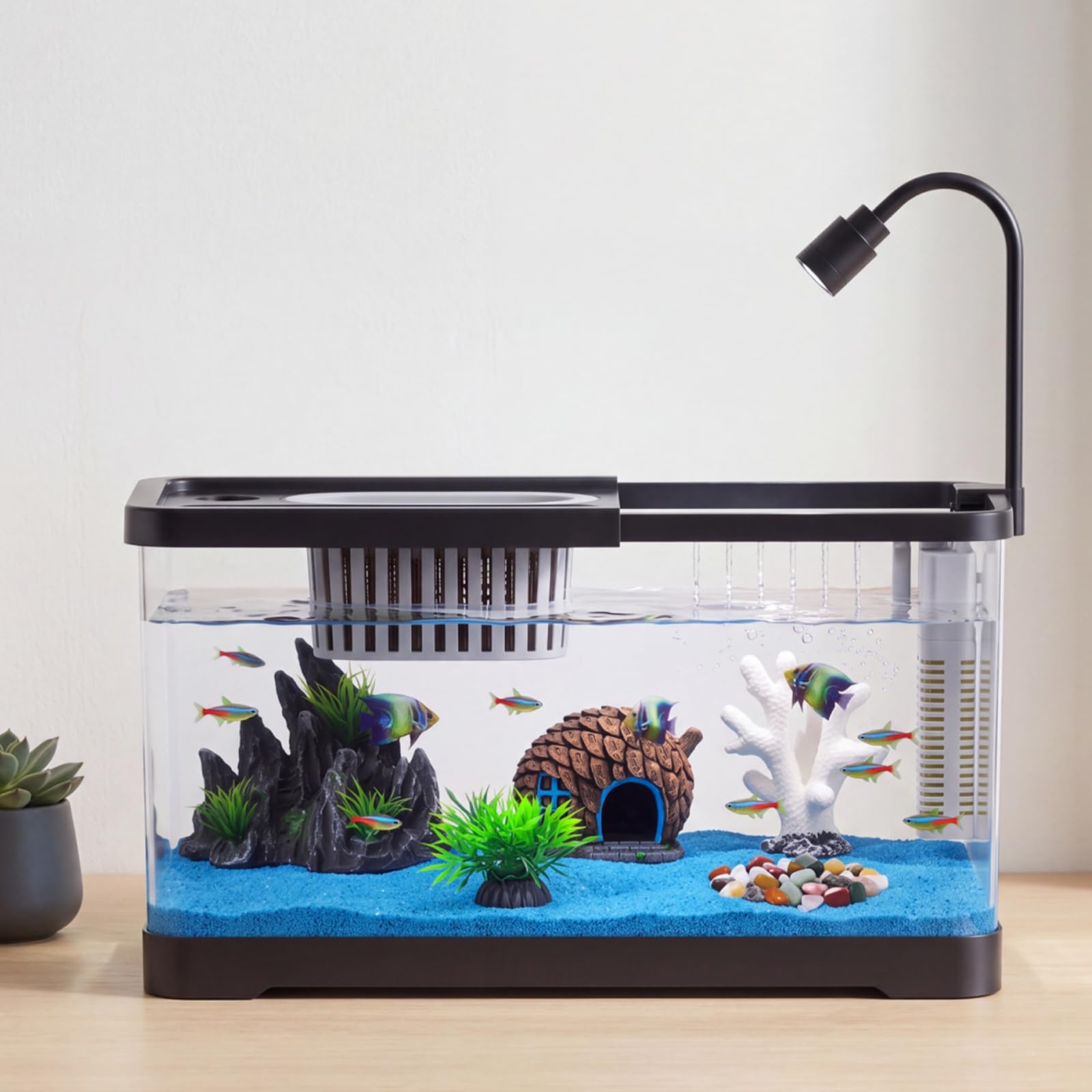 Fish Tank Starter Kit With Fil - Aquarium Fish Goldfish review and price