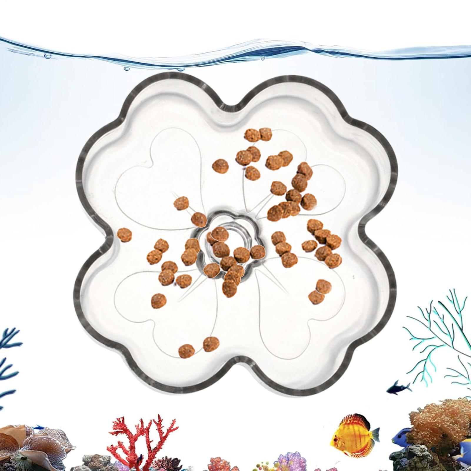 Aquarium Feeder Tray Suction C - Tetra Fish In Aquarium review and price