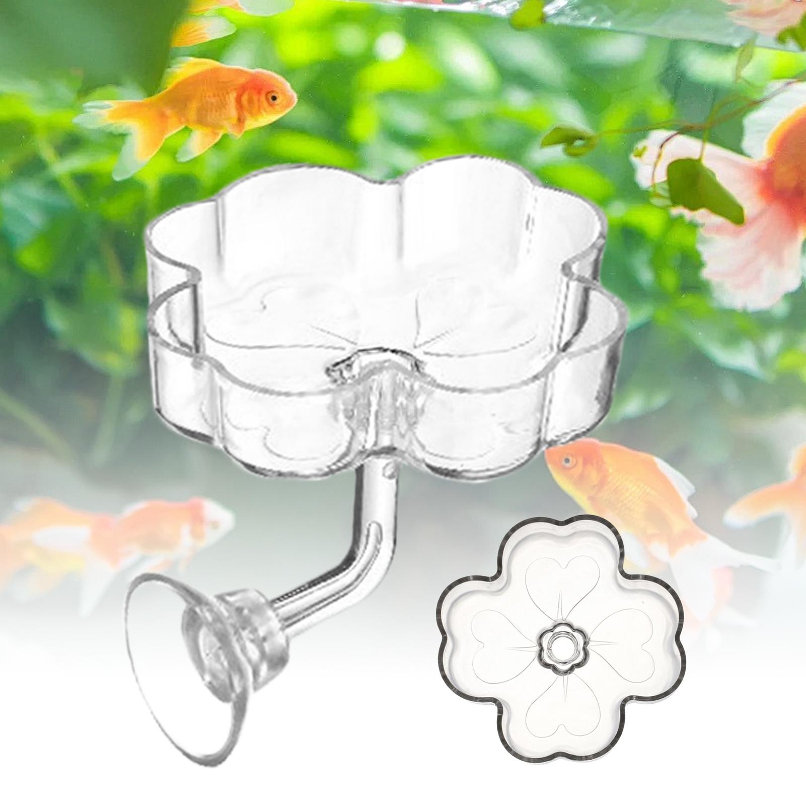 Aquarium Feeder Tray Suction C - Tetra Fish In Aquarium review and price