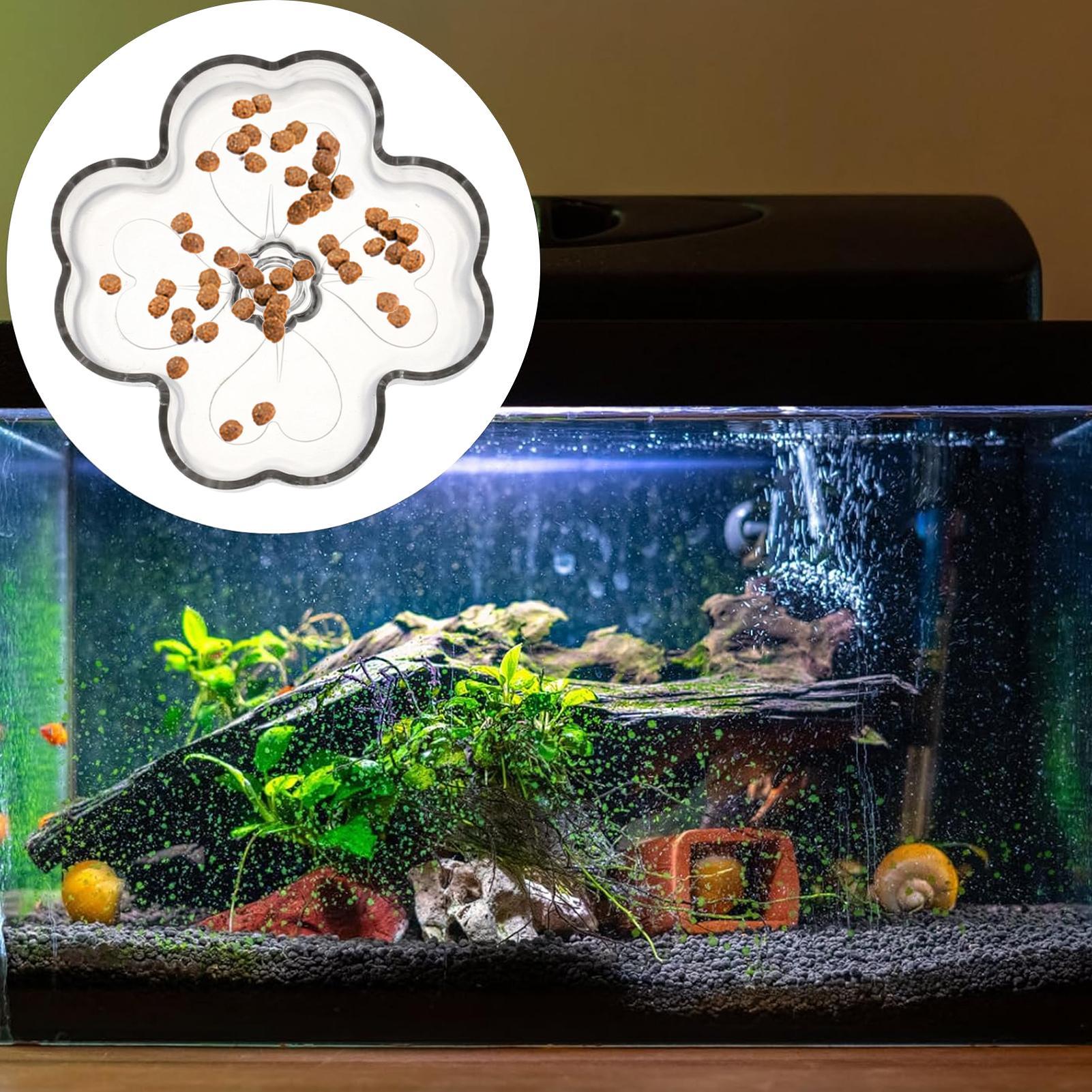 Aquarium Feeder Tray Suction C - Tetra Fish In Aquarium review and price