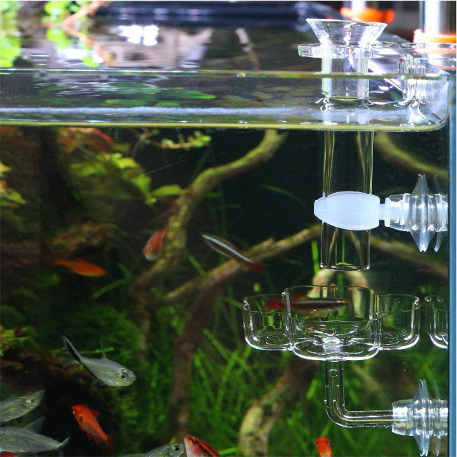 Aquarium Feeder Suction Cup Fl - Tetra Fish In Aquarium review and price