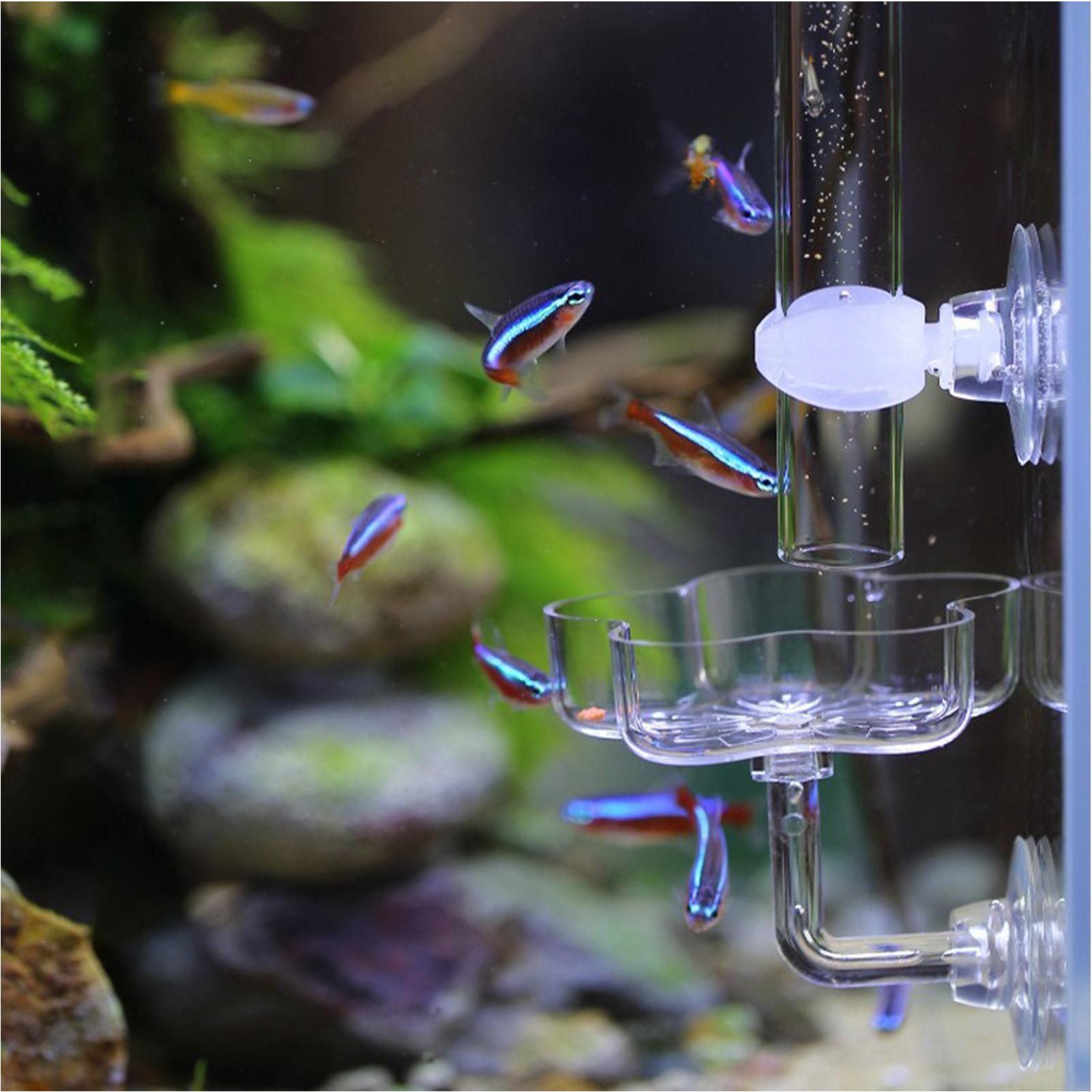 Aquarium Feeder Suction Cup Fl - Tetra Fish In Aquarium review and price