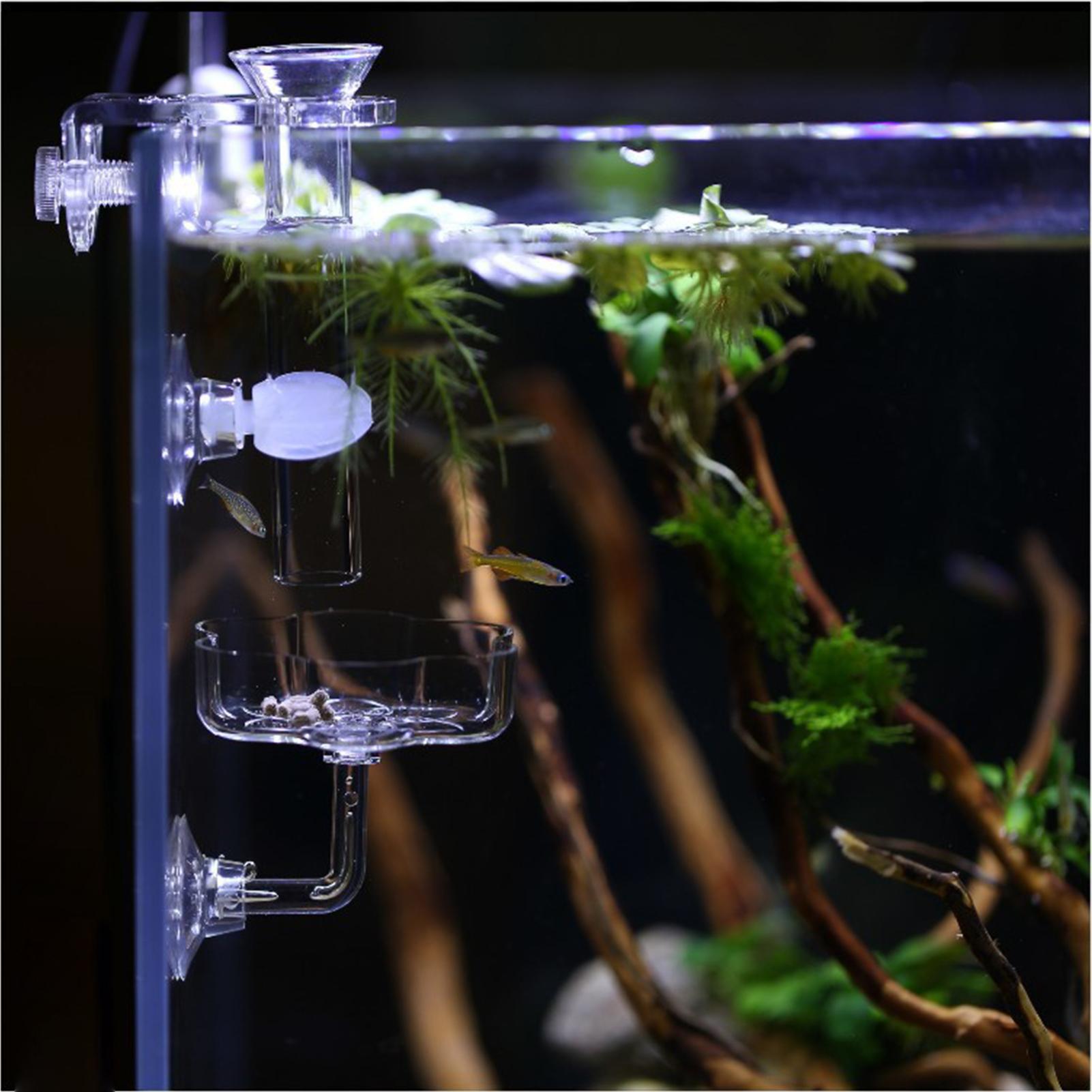 Aquarium Feeder Suction Cup Fl - Tetra Fish In Aquarium review and price