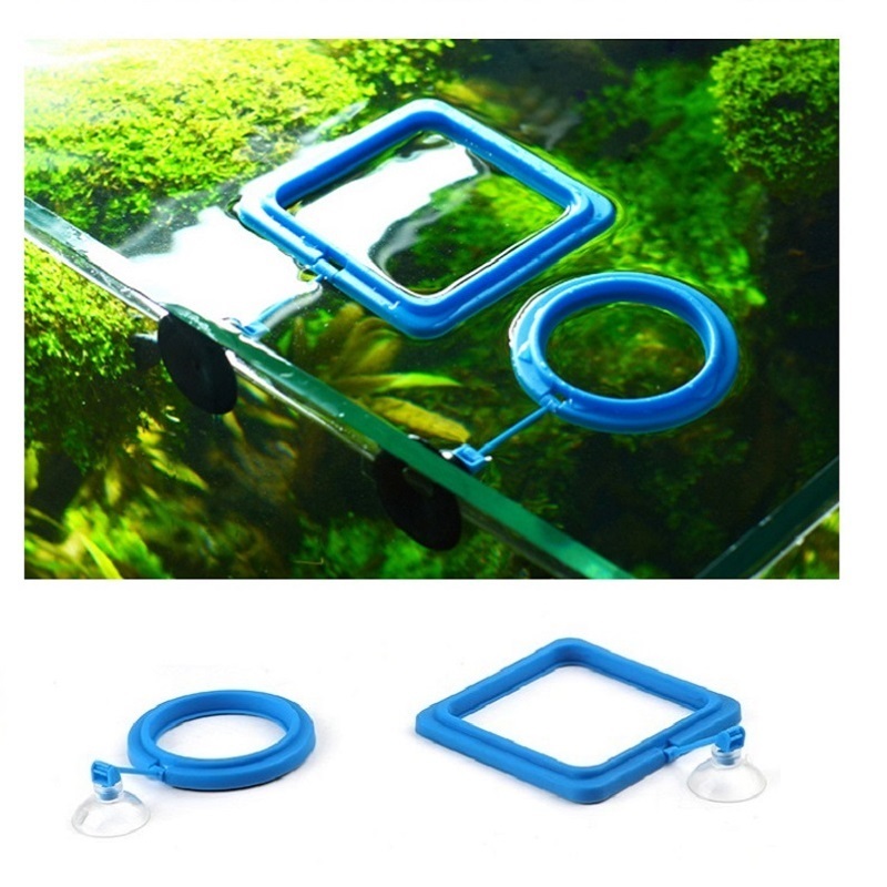 Fish Feeding Ring Feeder Fishi - Tetra Fish In Aquarium review and price