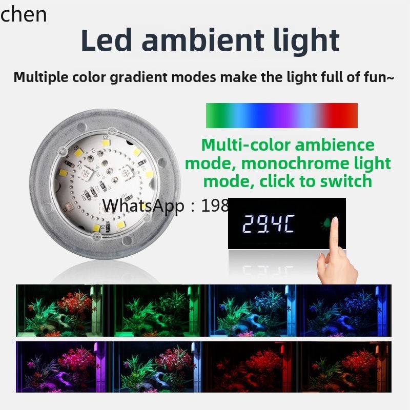 YGG  ultra-white glass small f - Aquarium Fish Without Oxygen review and price