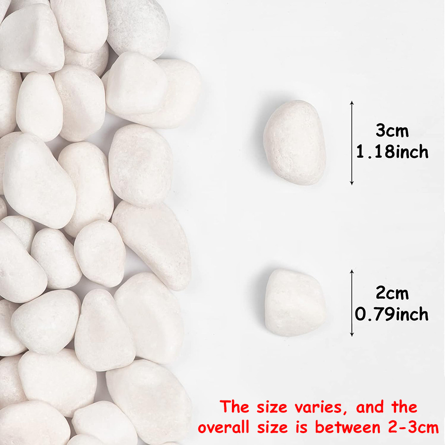 200/400g White High Polished N - Aquarium Fish Types review and price