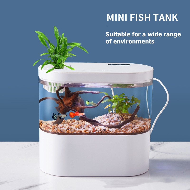 Mini Desktop Aquarium Fish Tan - Aquarium Xl review and price