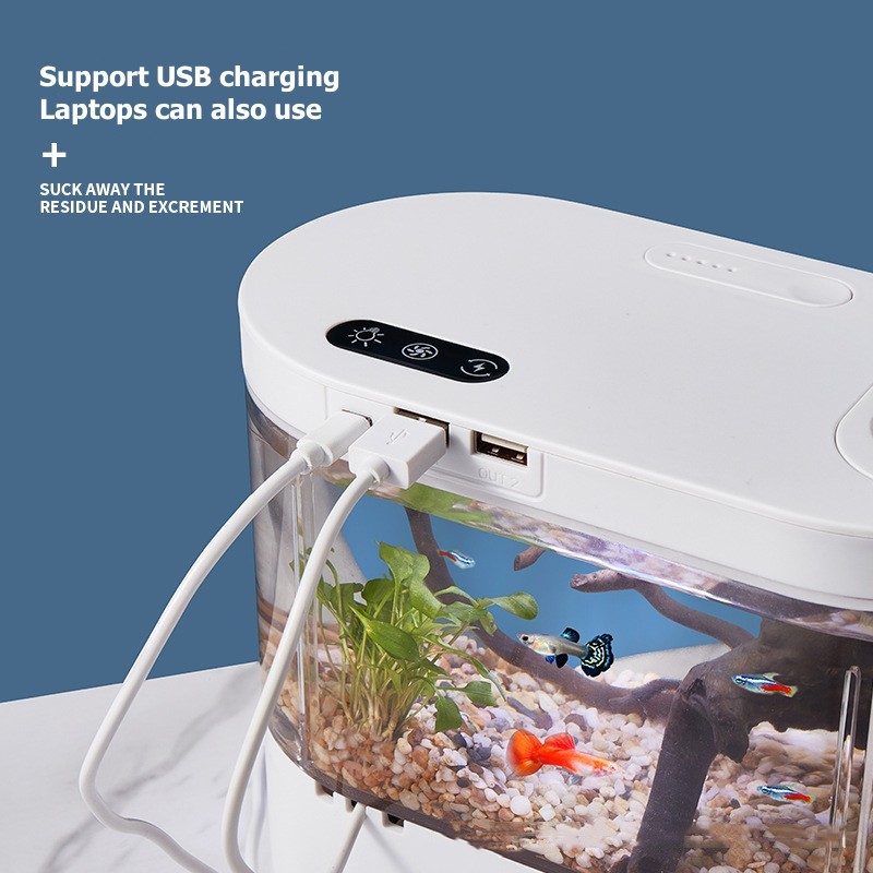 Mini Desktop Aquarium Fish Tan - Aquarium Xl review and price