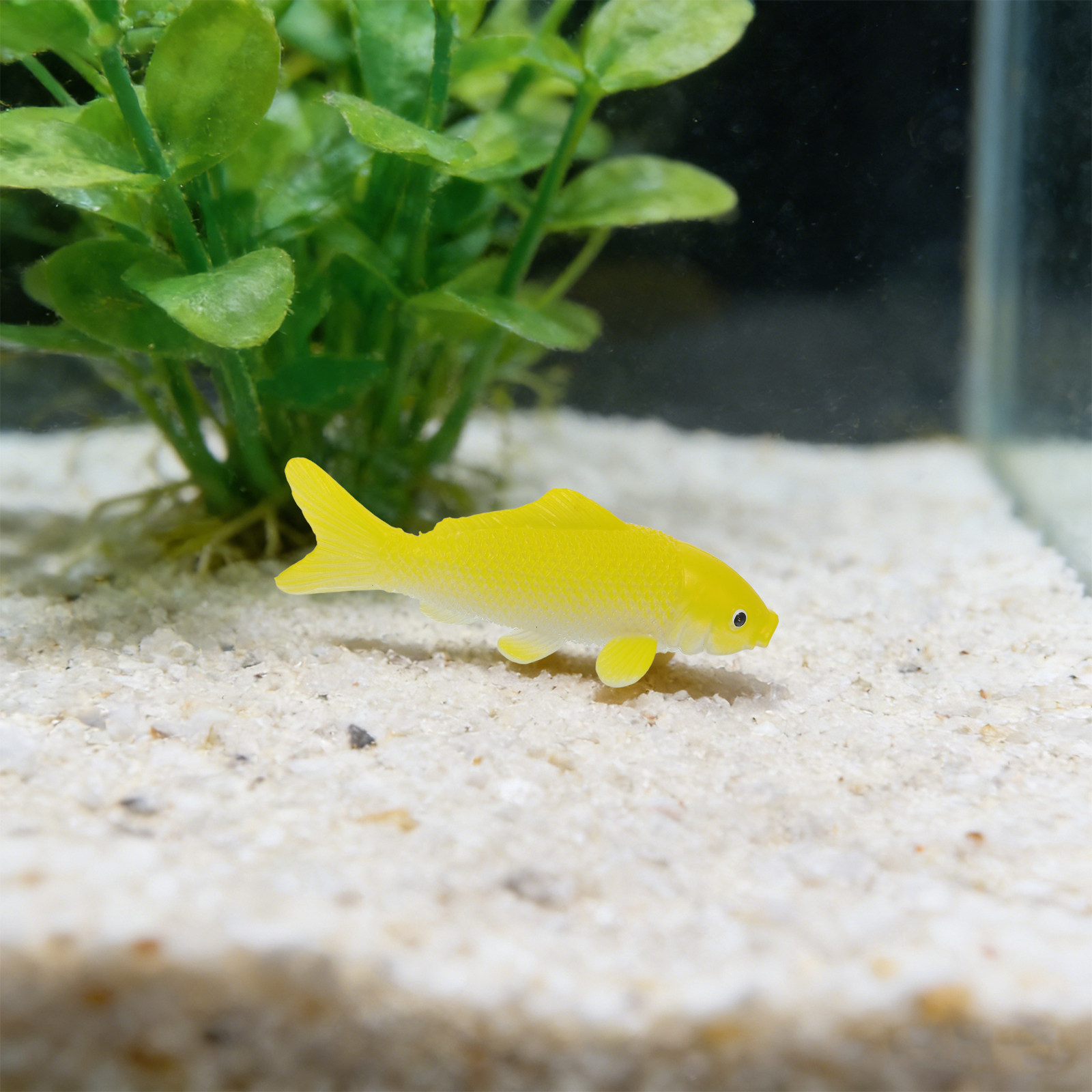 3pcs Fish Crafts Toys Realisti - Aquarium Fish Goldfish review and price