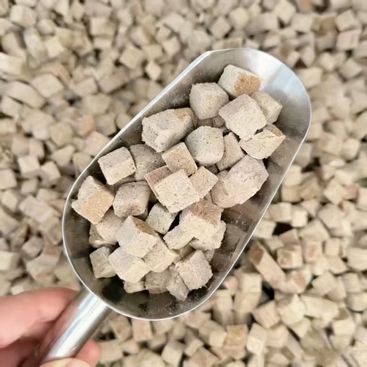 Freeze Dried Blood Worm Cubes  - Tetra Fish In Aquarium review and price