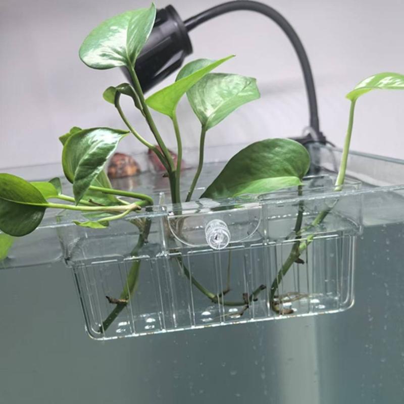 Hydroponic Plant Basket Food G - Aquarium Fish Home review and price