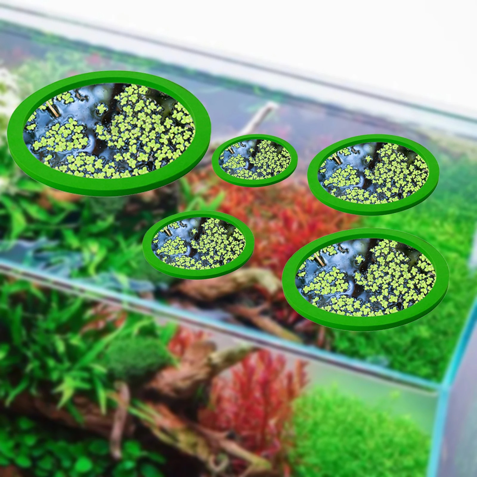 5Pcs EVA Fish Feeding Ring Aqu - Aquarium Fish House review and price