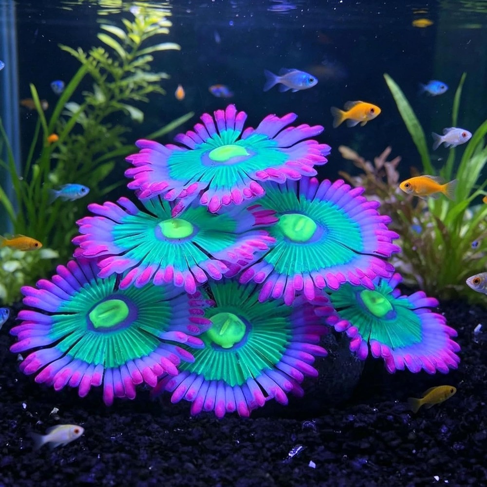 Glowing Soft Aquarium Fish Tan - Aquarium Fish Tank Price review and price