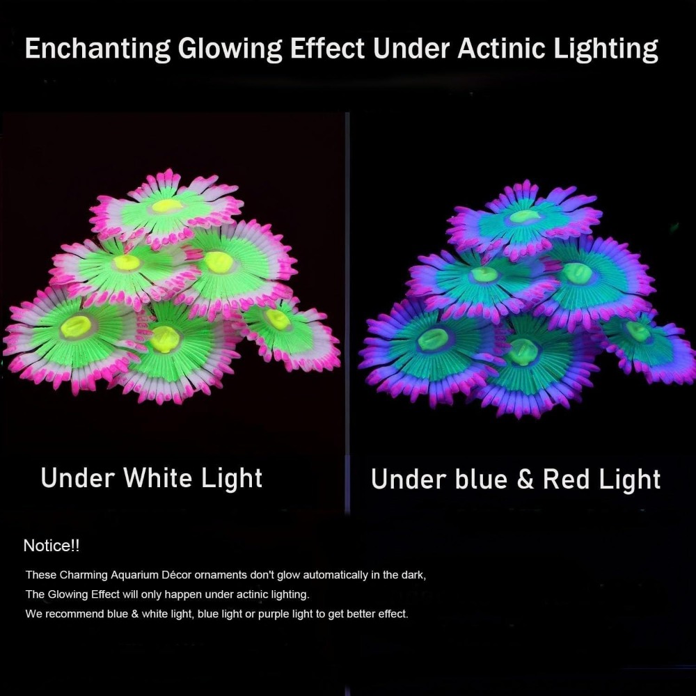Glowing Soft Aquarium Fish Tan - Aquarium Fish Tank Price review and price