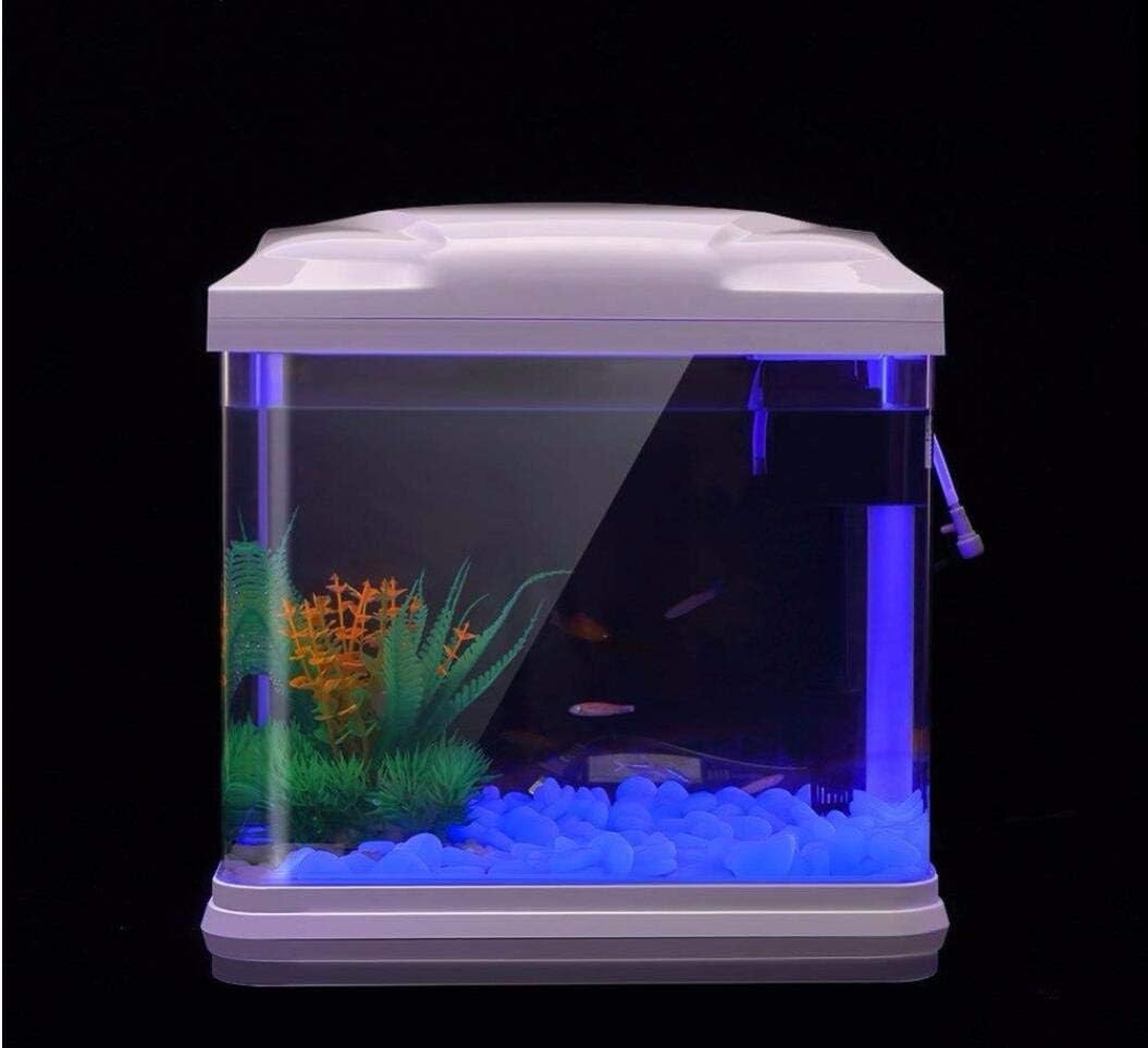 Fish Tank Rocks Glow Blue Pebb - Aquarium Fish Types review and price