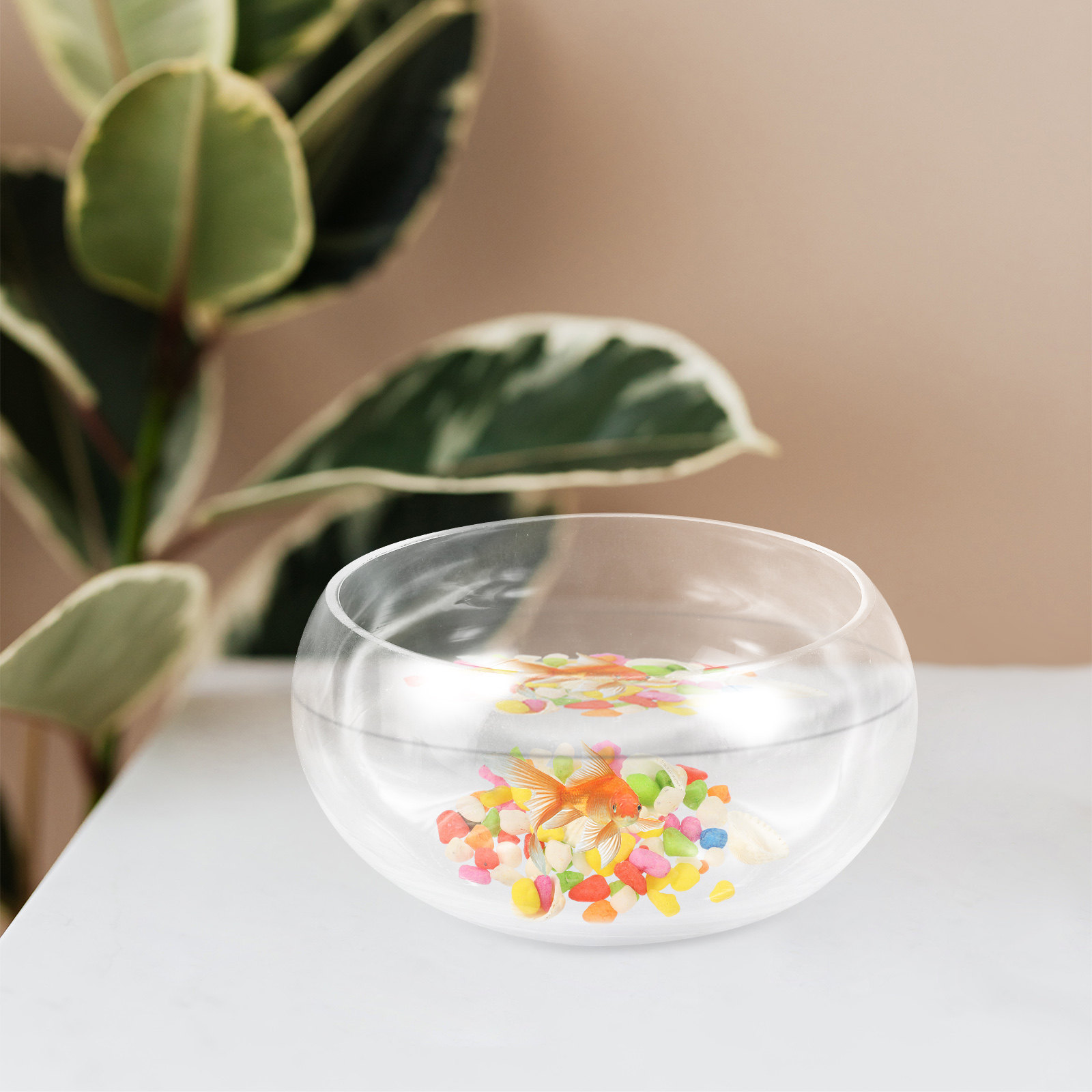 1Set Fish Bowl Glass Round Fis - Aquarium Fish Goldfish review and price