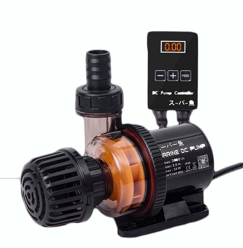 Custom Factory Wholesale Price - Aquarium Fish High Price review and price