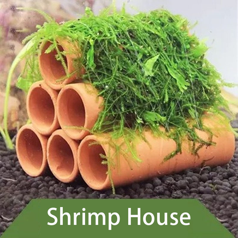 Clay Aquarium Decoration Fish  - Aquarium Fish Tank Price review and price