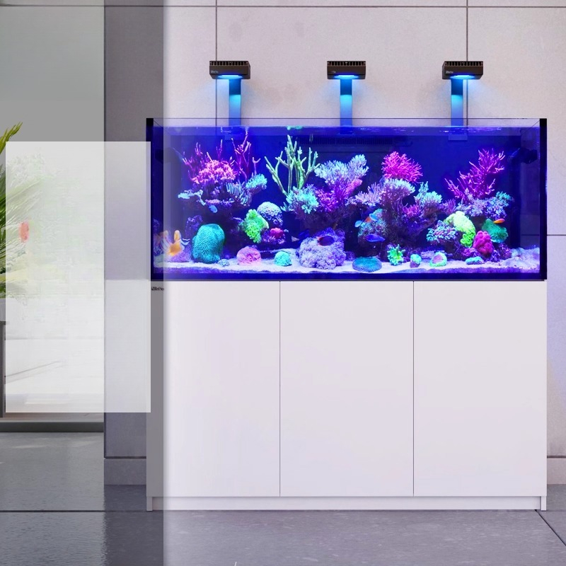2026 Hot Selling Wholesale Pri - Aquarium Fish And Price review and price
