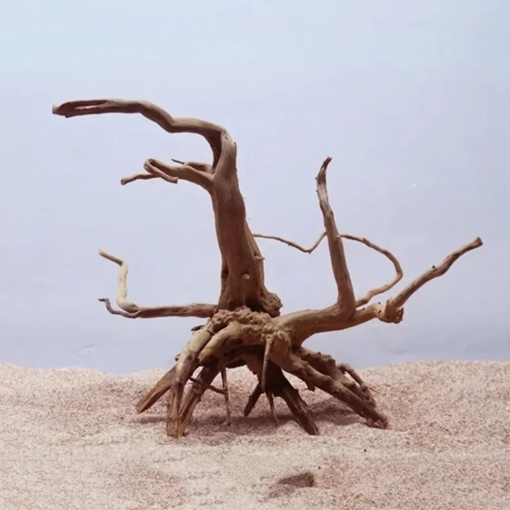 （15-20cm） Natural Driftwood Aq - Aquarium Fish Types review and price