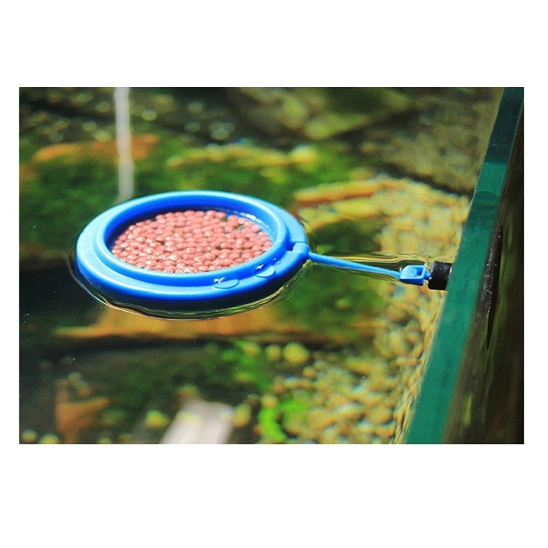 Fish Feeding Ring Feeder Fishi - Tetra Fish In Aquarium review and price
