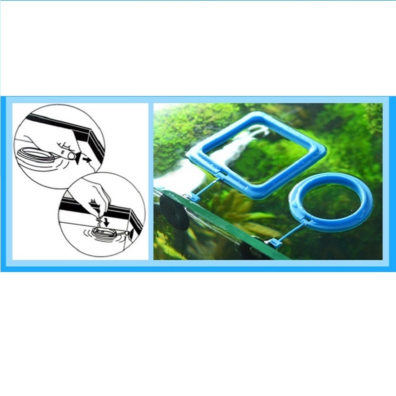 Fish Feeding Ring Feeder Fishi - Tetra Fish In Aquarium review and price