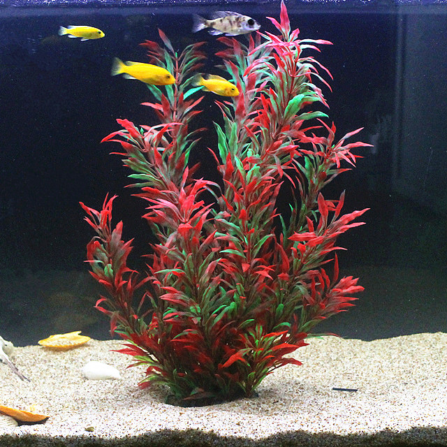 50CM Artificial Fish Tank Rare - Aquarium Fish Types review and price