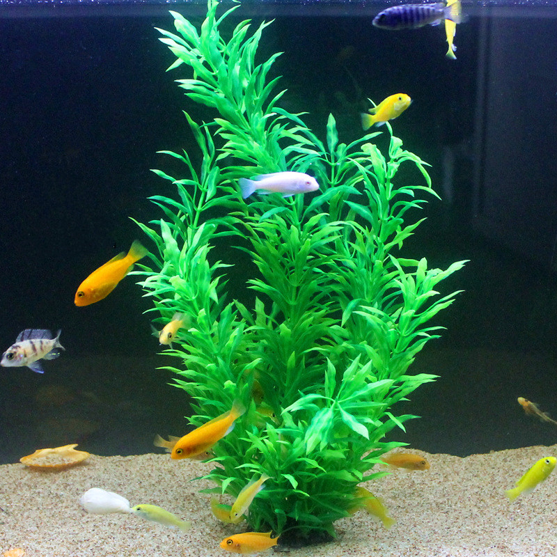 50CM Artificial Fish Tank Rare - Aquarium Fish Types review and price