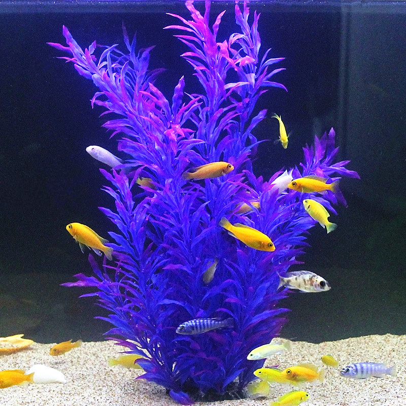 50CM Artificial Fish Tank Rare - Aquarium Fish Types review and price