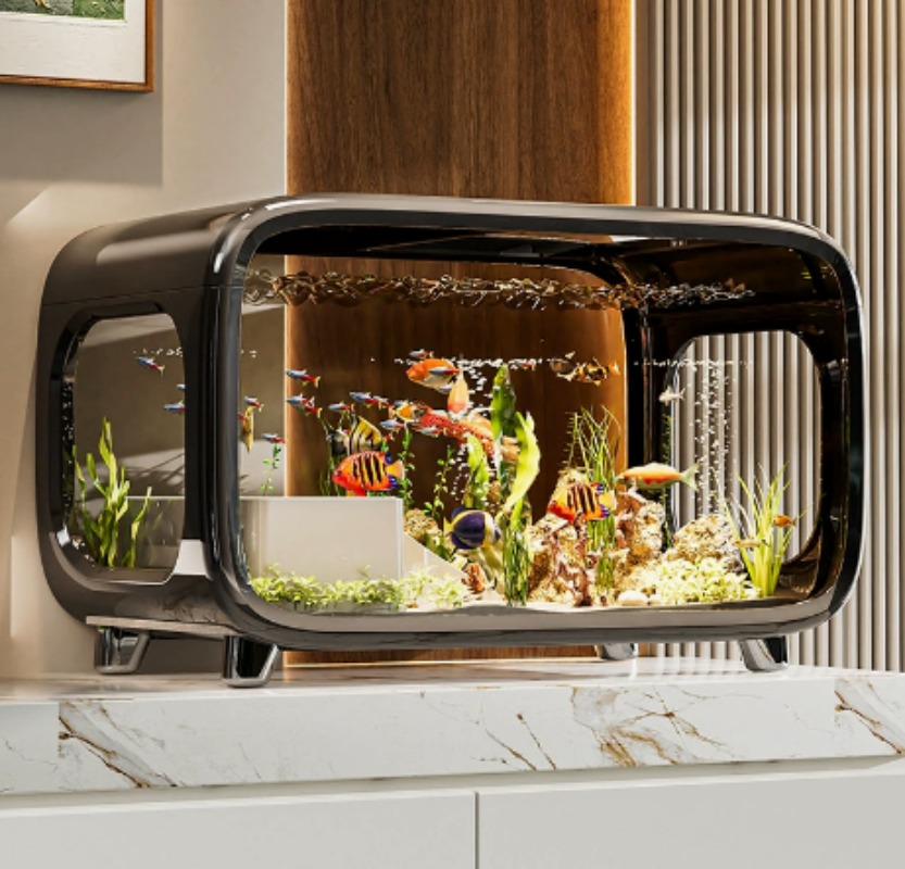 Creative Transparent Ecologica - Aquarium Fish Home review and price