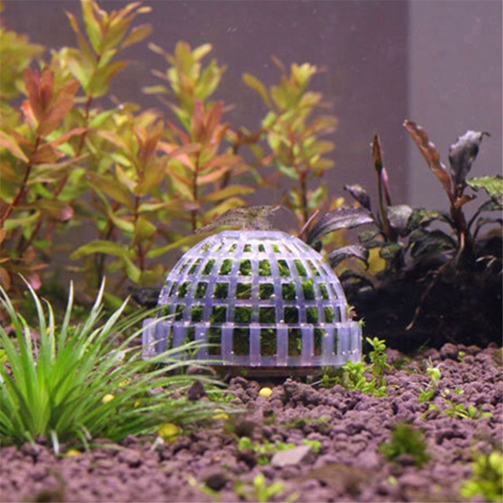 New Plastic Suspension Moss Do - Aquarium Fish Tank Price review and price
