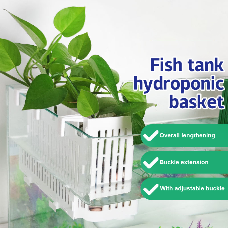 【F】Fish Tank Hanging Planter A - Aquarium Fish Types review and price