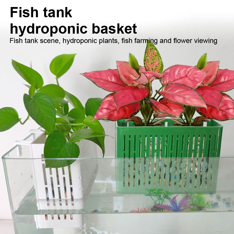 【F】Fish Tank Hanging Planter A - Aquarium Fish Types review and price