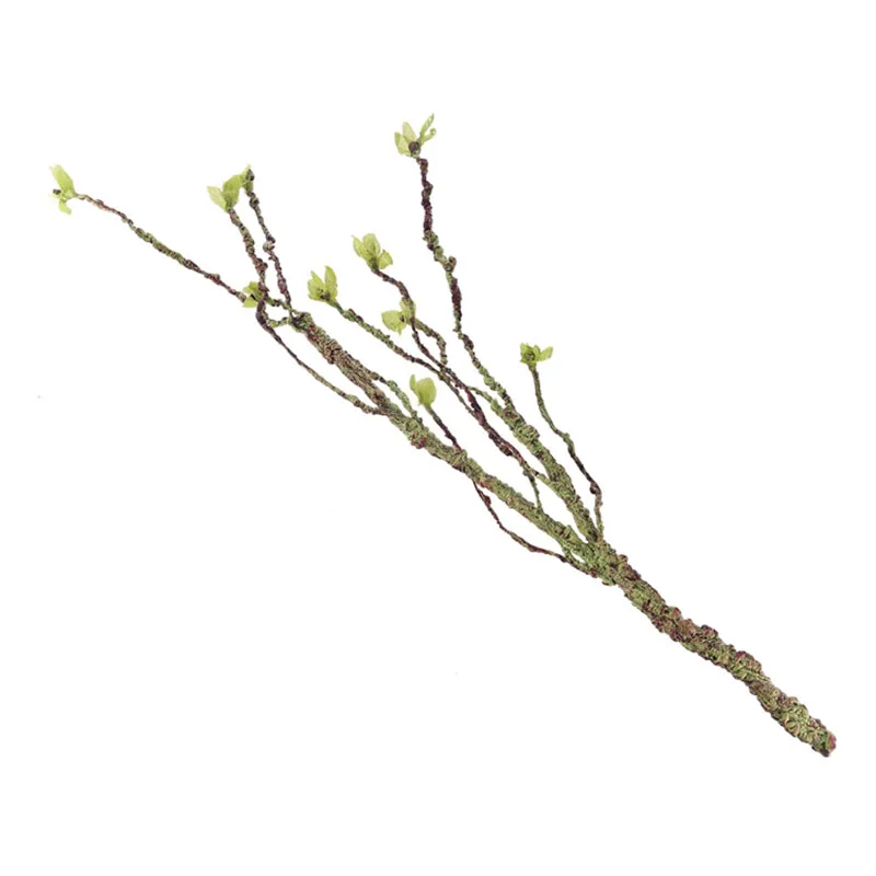 Vines Decor Climbing Branches  - Aquarium Fish Types review and price